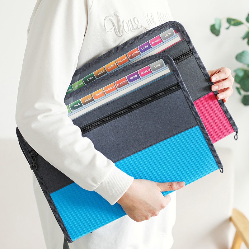 Akkordeon-Akten-Organizer mit  – Expandable Accordion File Folder 13 Pockets Bewertung und Preis